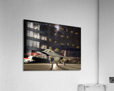 Moonlit Thunderbird Acrylic Print