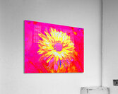 Abstract Daisy Yellow Bloom Acrylic Print