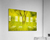 Burnt Tree Green Grass Merritt Island National Wildlife Refuge X101 Acrylic Print