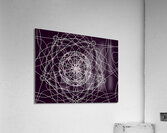 ball of lines Acrylic Print