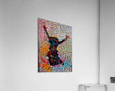 booby Acrylic Print
