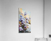 Violets in Snow  1 Acrylic Print