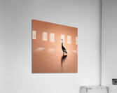 Blue Heron Silhouette and Reflection Acrylic Print