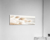 Poetry by the sea - Pampas grass idyll Acrylic Print