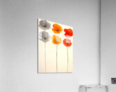 Six Poppies Acrylic Print
