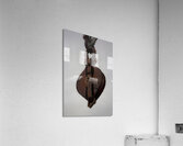 Pulley Acrylic Print