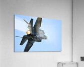 8720463 Acrylic Print