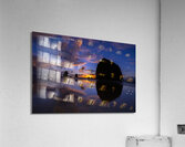 DAV 9047 Acrylic Print