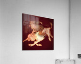 Longhorn Ride Acrylic Print