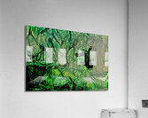 jungle green Acrylic Print