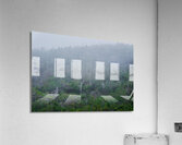 Brume Acrylic Print
