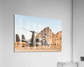 8721227 Acrylic Print