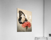 Vintage Butterfly on Carnation Acrylic Print
