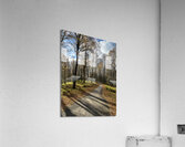 Autumnal Forest Walk Through the Scottish Highlands Acrylic Print