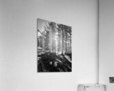 Everyday Lifes Moments- Black and White Contrast  Acrylic Print