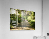 Summer Nature Path in the Scottish Highlands  Acrylic Print