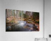 Premier gel Acrylic Print
