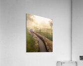 Rose Gardens Pond and Stream Acrylic Print