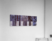 Solstice Acrylic Print