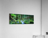 Serendipity Acrylic Print