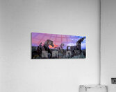 Wild Iron Acrylic Print