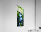Rain Forest Runoff Acrylic Print