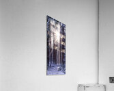 Solstice Vertical Acrylic Print