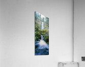 Hidden Veil Acrylic Print