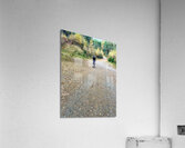 Scenes from the Trail- Decisions Acrylic Print