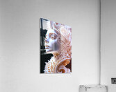 Fractal Goddess Unveiled Acrylic Print