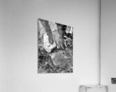 Scenes from the Trail- On the Trail in the Scottish Highlands Acrylic Print