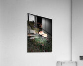 Scenes from the Trail- Forest Mushrooms Acrylic Print