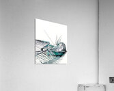 Montage 27 Acrylic Print