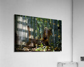 Bamboo Abstract Acrylic Print
