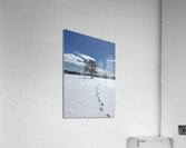 Footprints  Acrylic Print