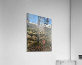 Scenes from the Trail- Autumnal Falling Leaves Acrylic Print