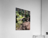 Scenes from the Trail- On the Edge Acrylic Print