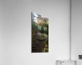 Sunny Roots Acrylic Print