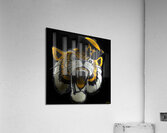 1950s Missouri Tiger Cartoon Remix Acrylic Print