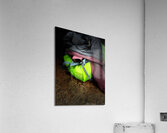 Scenes from the Trail -  Gear  Acrylic Print