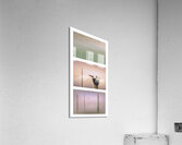 Pensacola Beach  Pelican Pilings Triptych Acrylic Print