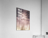 Louisiana Fausse Point State Park  Cypress Tree Acrylic Print