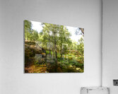 Spring Calls for the Scottish Highlands Acrylic Print