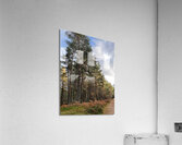 Autumnal Serenity in the Scottish Highlands Acrylic Print