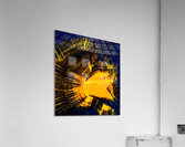 Roitelet 2 Acrylic Print