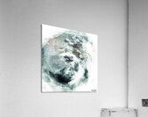 Giratoires  Acrylic Print