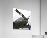 Graduate Acrylic Print