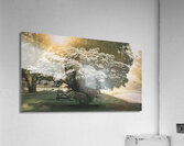Sunrise Over a Dogwood Acrylic Print