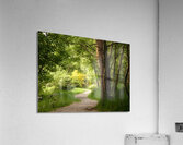 A Spring Nature Path through the Scottish Highlands Acrylic Print
