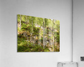 Birch Heather Blay Berries and Moss in the Scottish Highlands Acrylic Print